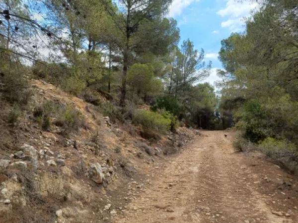 Terreno en Partida Campulles, 24