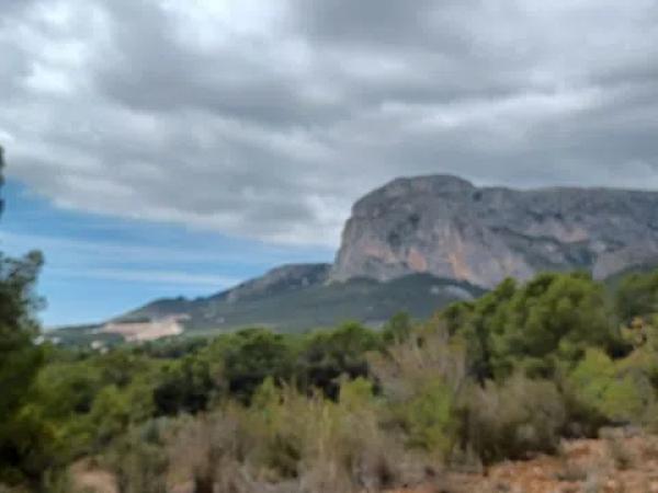 Terreno en Partida Campulles, 24
