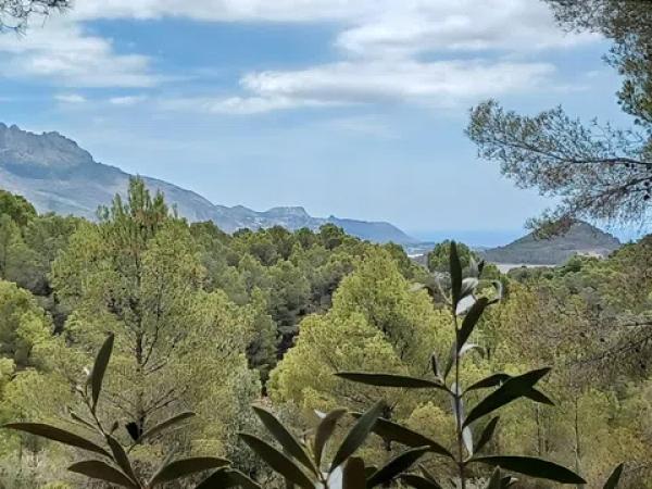 Terreno en Partida Campulles, 24