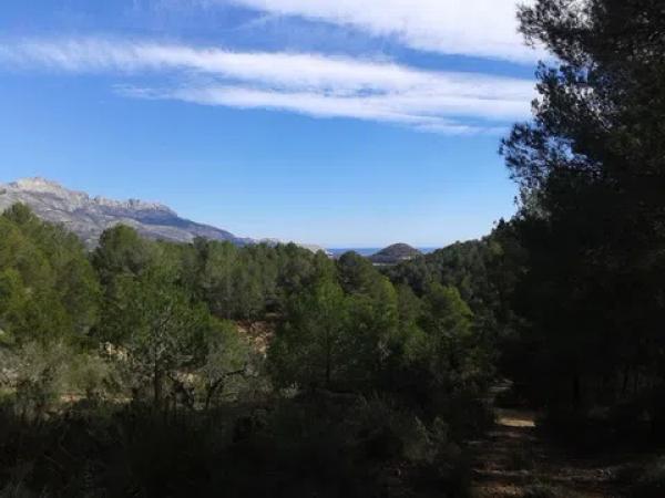 Terreno en Partida Campulles, 24