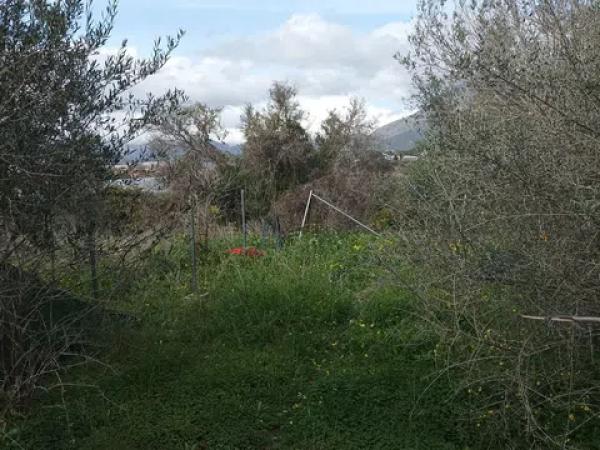 Terreno en Partida Rompuda s/n