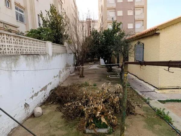 Terreno en calle Dorotea, 76