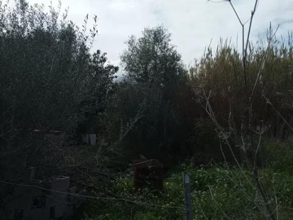 Terreno en Partida Rompuda s/n