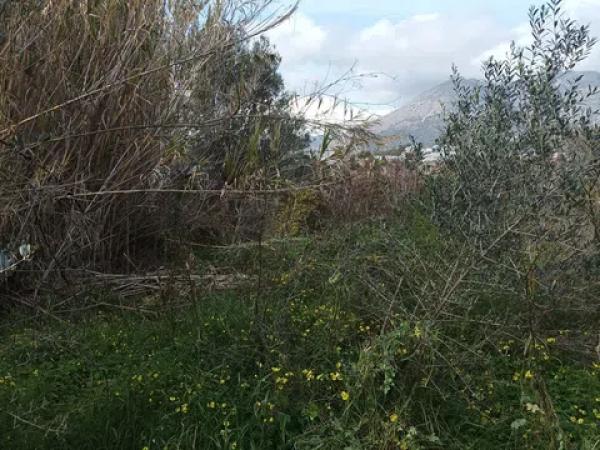 Terreno en Partida Rompuda s/n