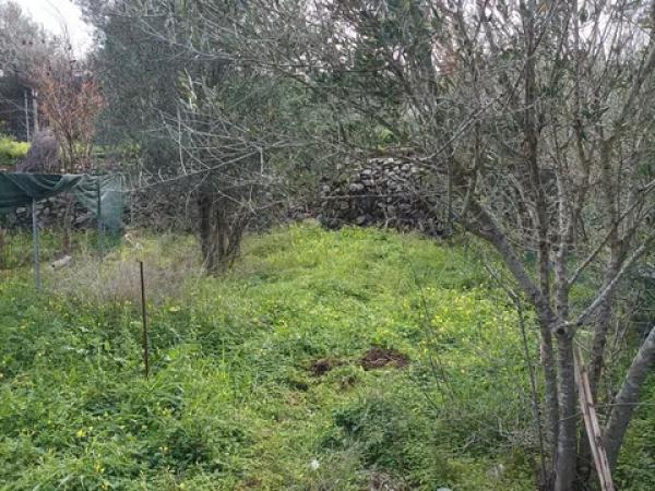 Terreno en Partida Rompuda s/n