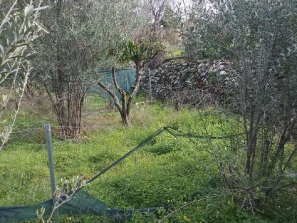 Terreno en Partida Rompuda s/n