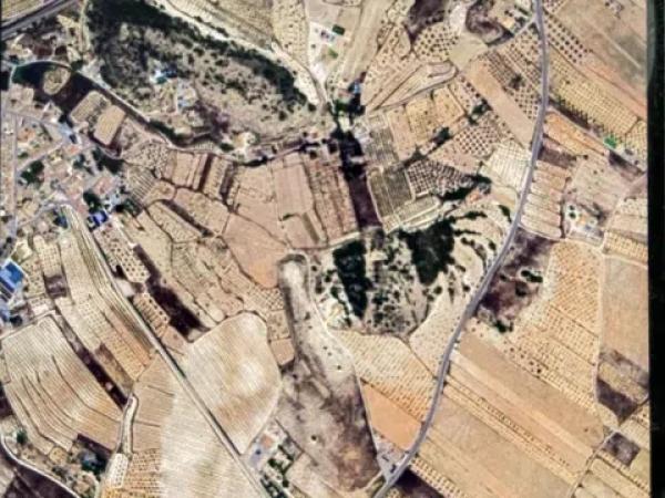 Terreno en Chinorlet, 3 poligono 3