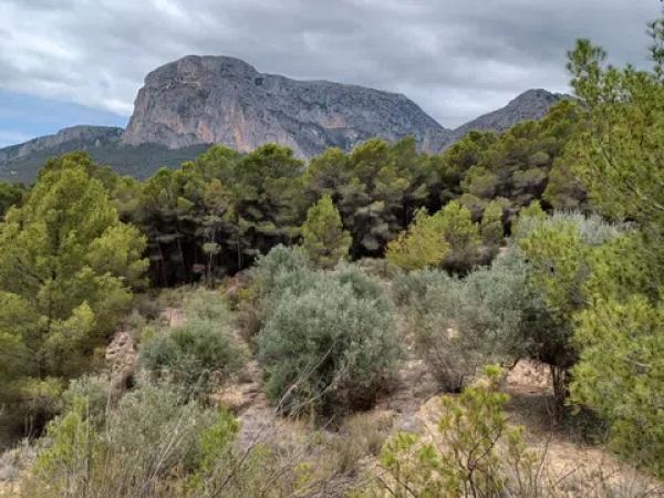 Terreno en Partida Campulles, 14