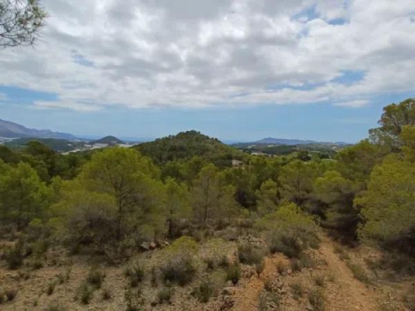 Terreno en Partida Campulles, 14