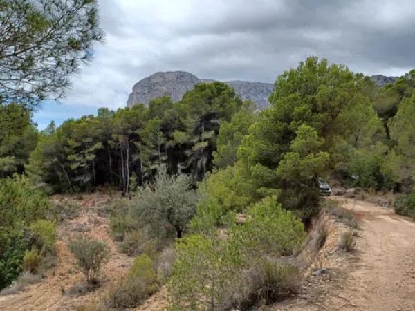 Terreno en Partida Campulles, 14