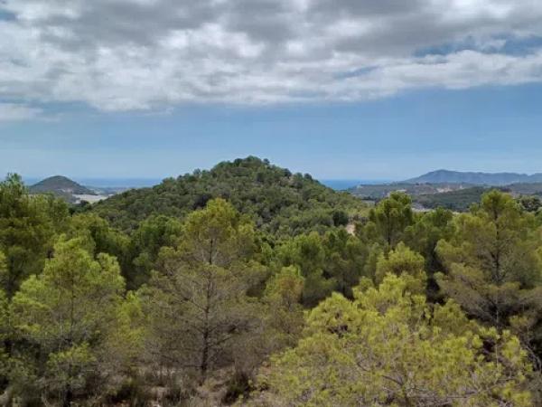 Terreno en Partida Campulles, 14