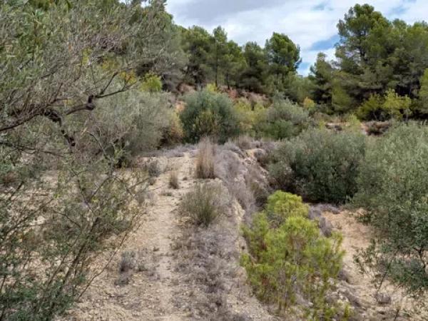 Terreno en Partida Campulles, 14