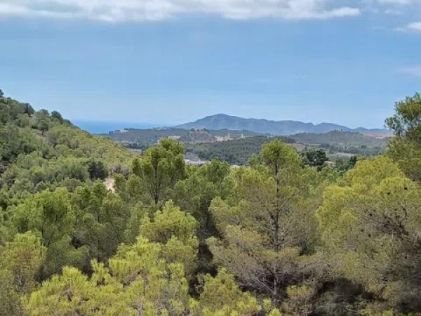 Terreno en Partida Campulles, 14