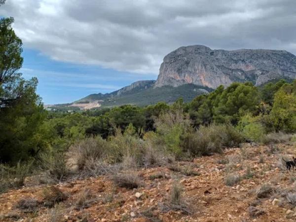Terreno en Partida Campulles, 14