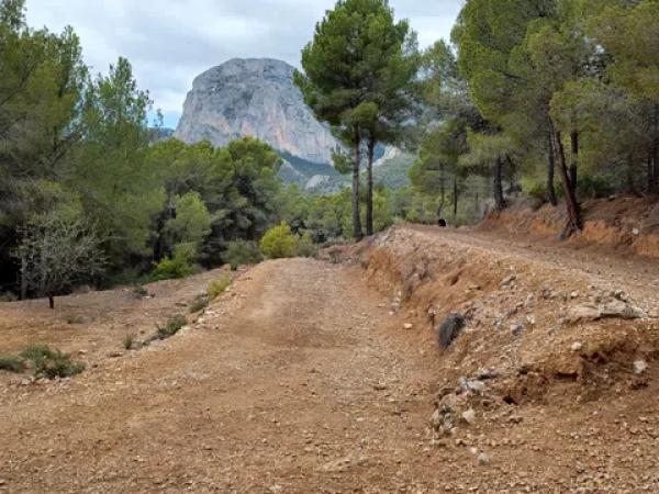 Terreno en Partida Campulles, 14