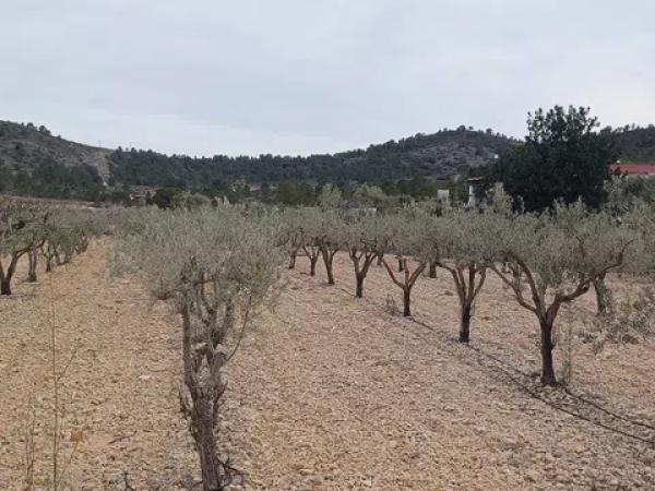 Terreno en La Romana
