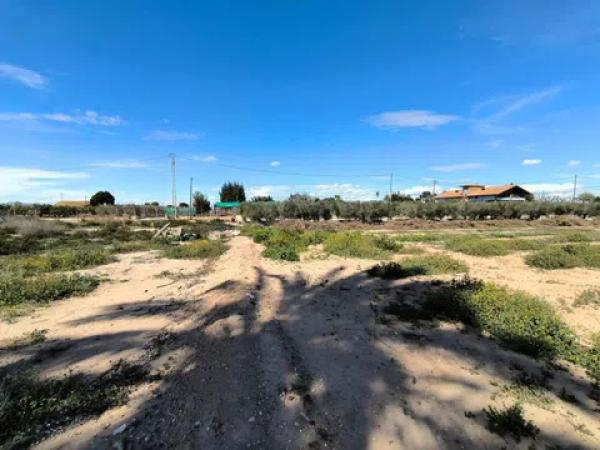 Terreno en camino de Redondo