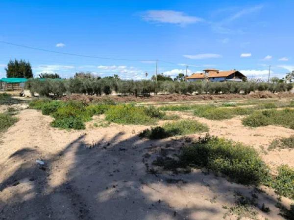 Terreno en camino de Redondo