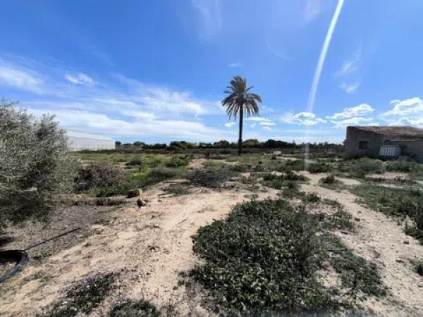 Terreno en camino de Redondo