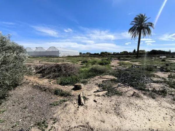 Terreno en camino de Redondo