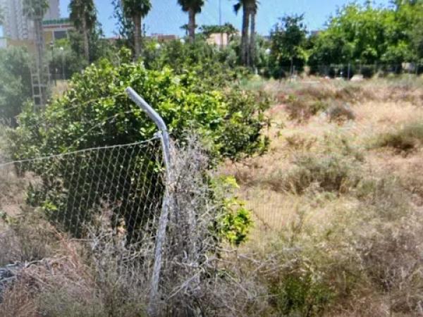 Terreno en Playa Muchavista