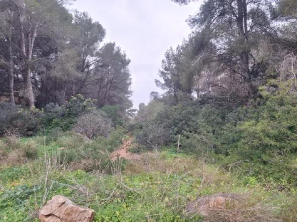 Terreno en Montañar-El Arenal