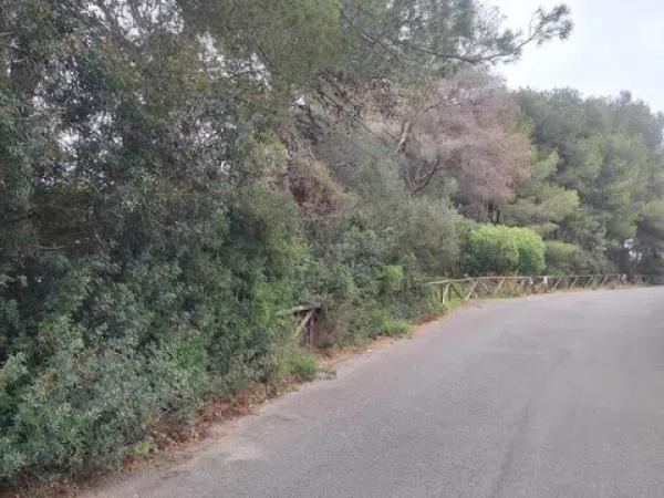 Terreno en Montañar-El Arenal