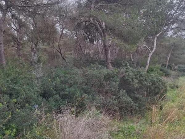 Terreno en Montañar-El Arenal