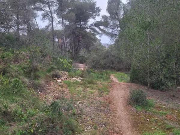 Terreno en Montañar-El Arenal