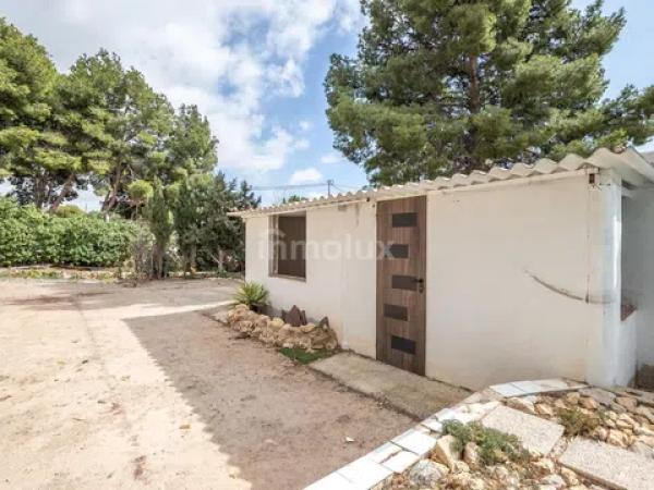 Terreno en camino de la Ermita