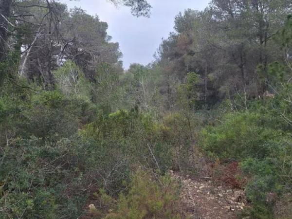 Terreno en Montañar-El Arenal