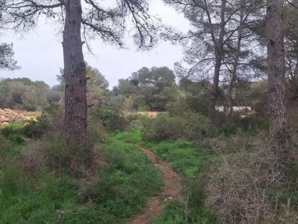 Terreno en Montañar-El Arenal