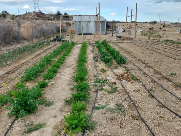 Terreno en camino de la Polvora