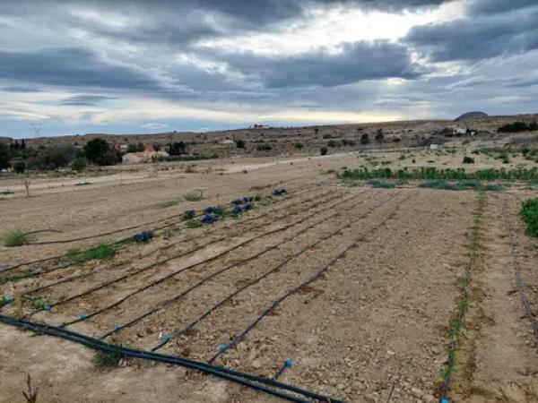Terreno en camino de la Polvora