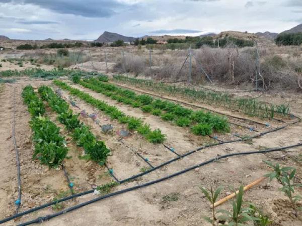 Terreno en camino de la Polvora