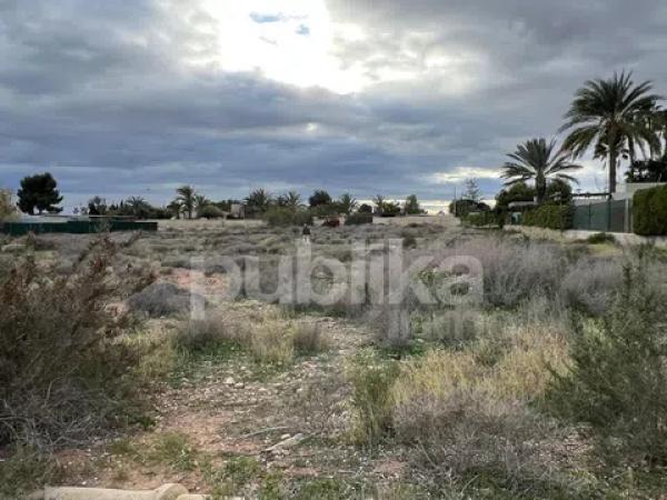 Terreno en camino de la Molineta