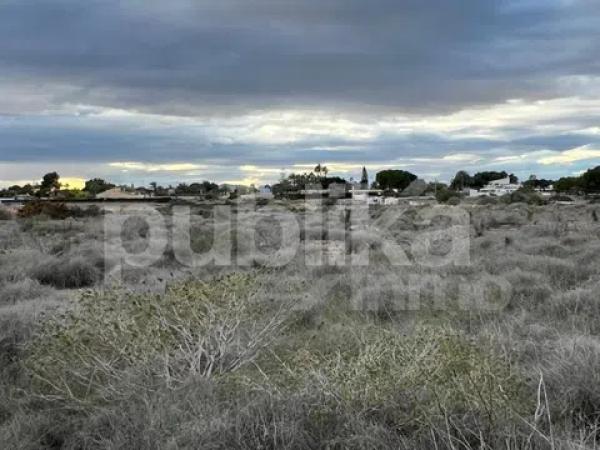 Terreno en camino de la Molineta