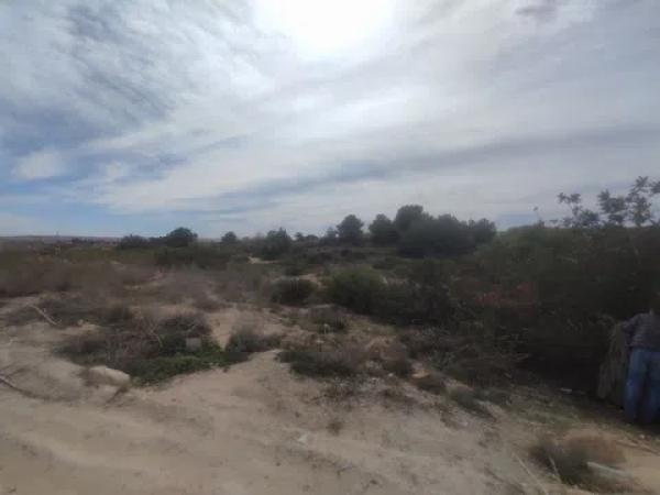 Terreno en canal de la pedrera, 2