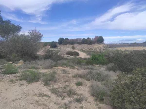 Terreno en canal de la pedrera, 2