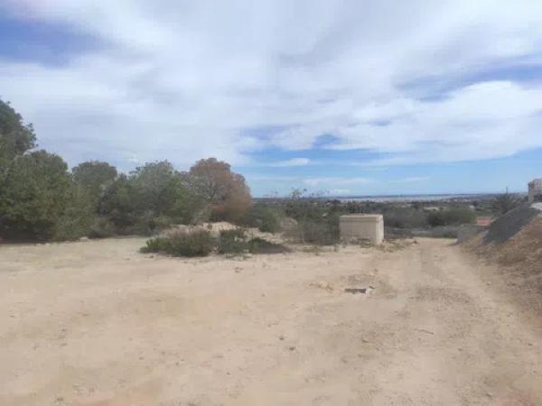 Terreno en canal de la pedrera, 2