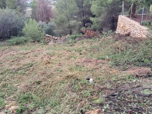 Terreno en plaza del Doctor Calatayud
