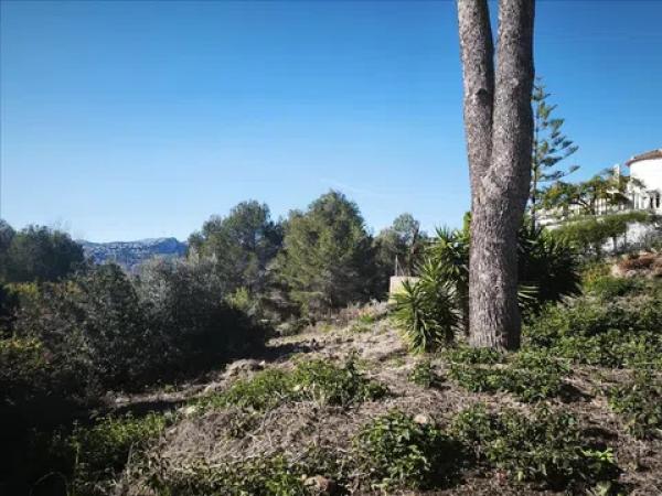 Terreno en plaza del Doctor Calatayud