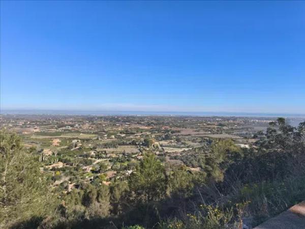 Terreno en avenida del Baix Segura