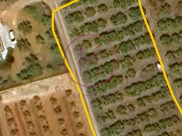 Terreno en Diseminado Diseminados