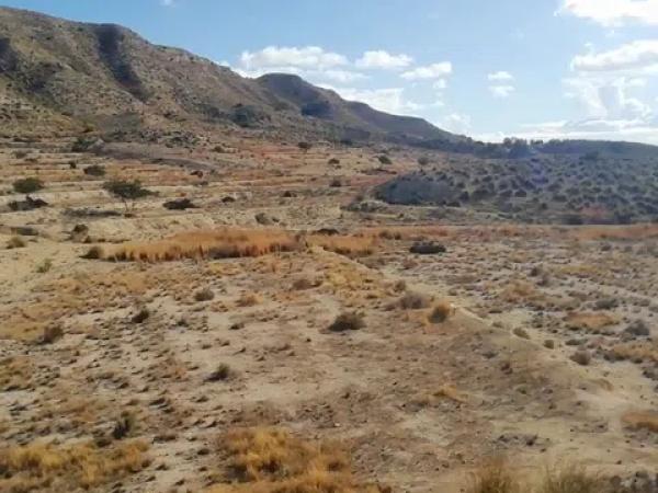 Terreno en El Arriero, 2 Polgono