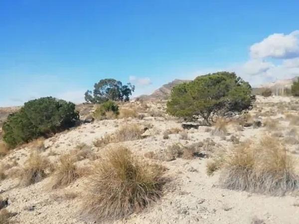 Terreno en El Arriero, 2 Polgono
