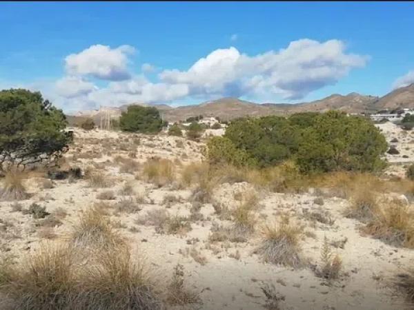 Terreno en El Arriero, 2 Polgono