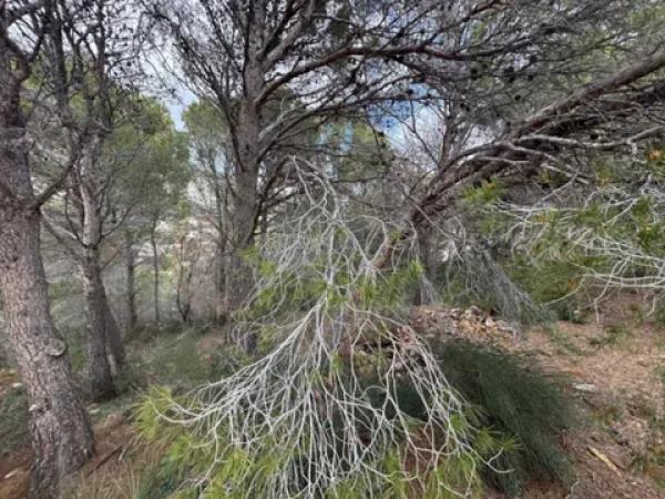 Terreno en Altea Hills