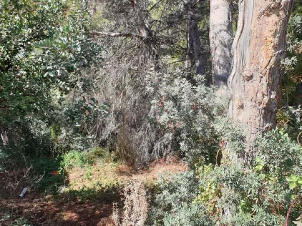 Terreno en Barranco Hondo