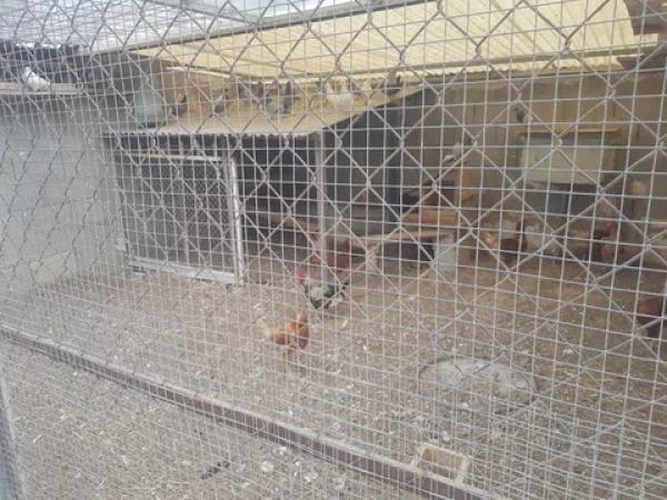 Terreno en El Secanet - Hacienda del Sol